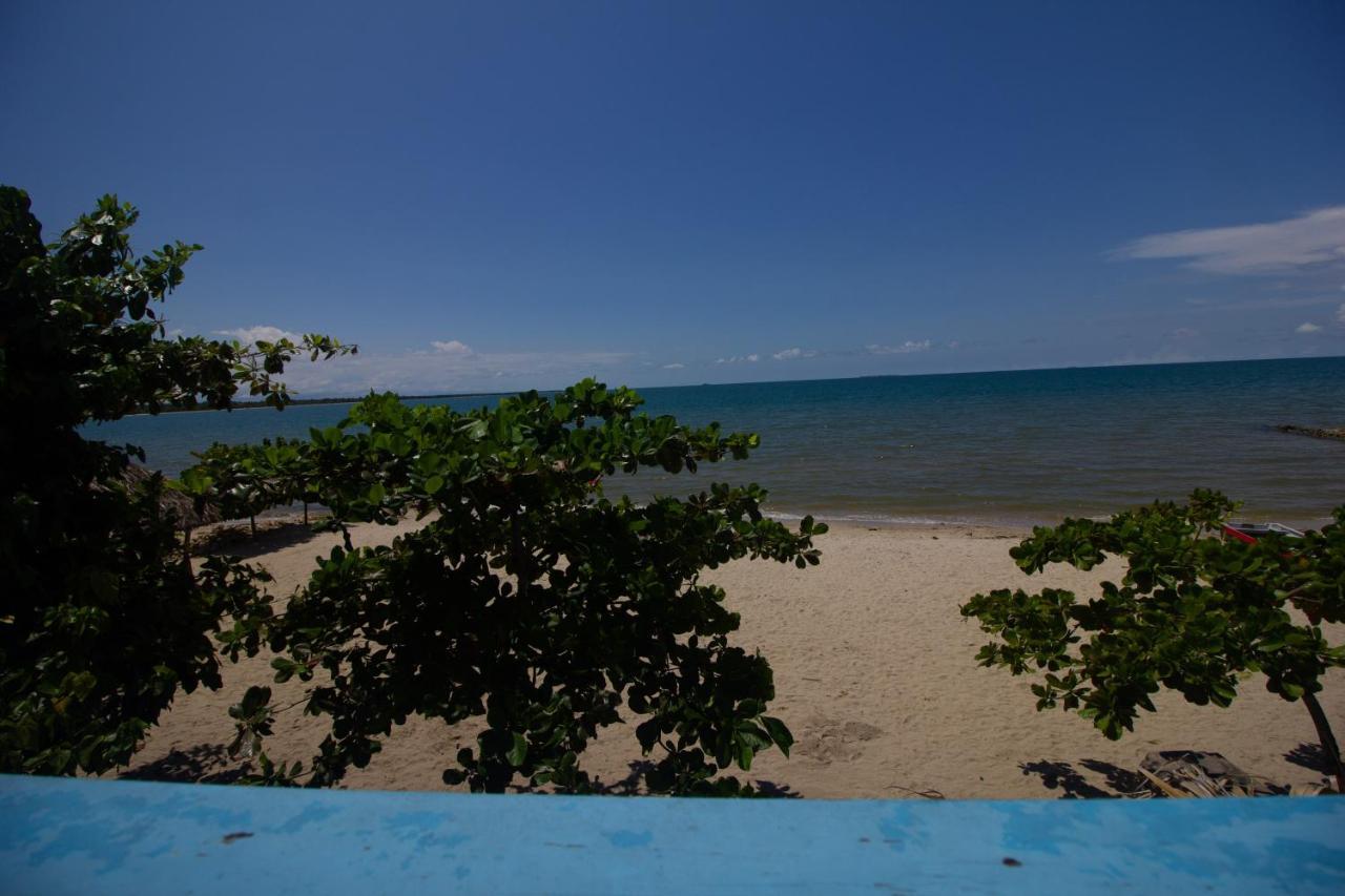 Auberge de jeunesse Casamare Rincón